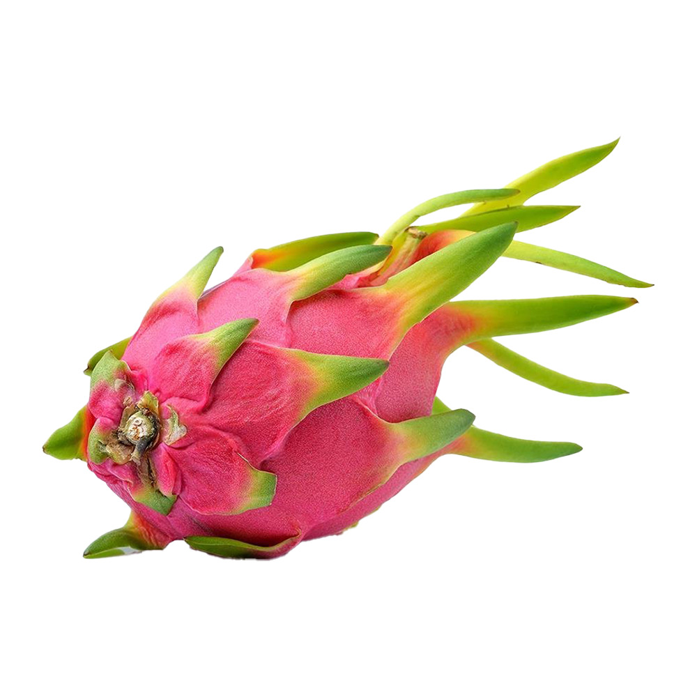 Pitaya Kg
