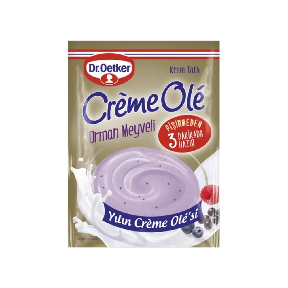 Dr.Oetker Creme Ole Orman Meyveli 89 Gr