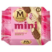 Magnum Mini Utopia Ahududu & Badem 6'lı Paket 338 Ml