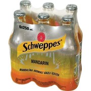 Schweppes Mandalina 250 Ml 6’lı Şişe.
