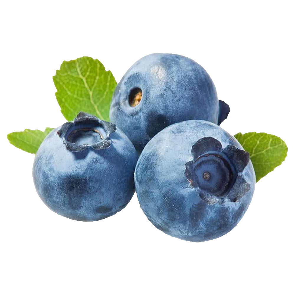 Yaban Mersini 125 Gr Paket Yerli