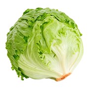 Marul Iceberg Adet