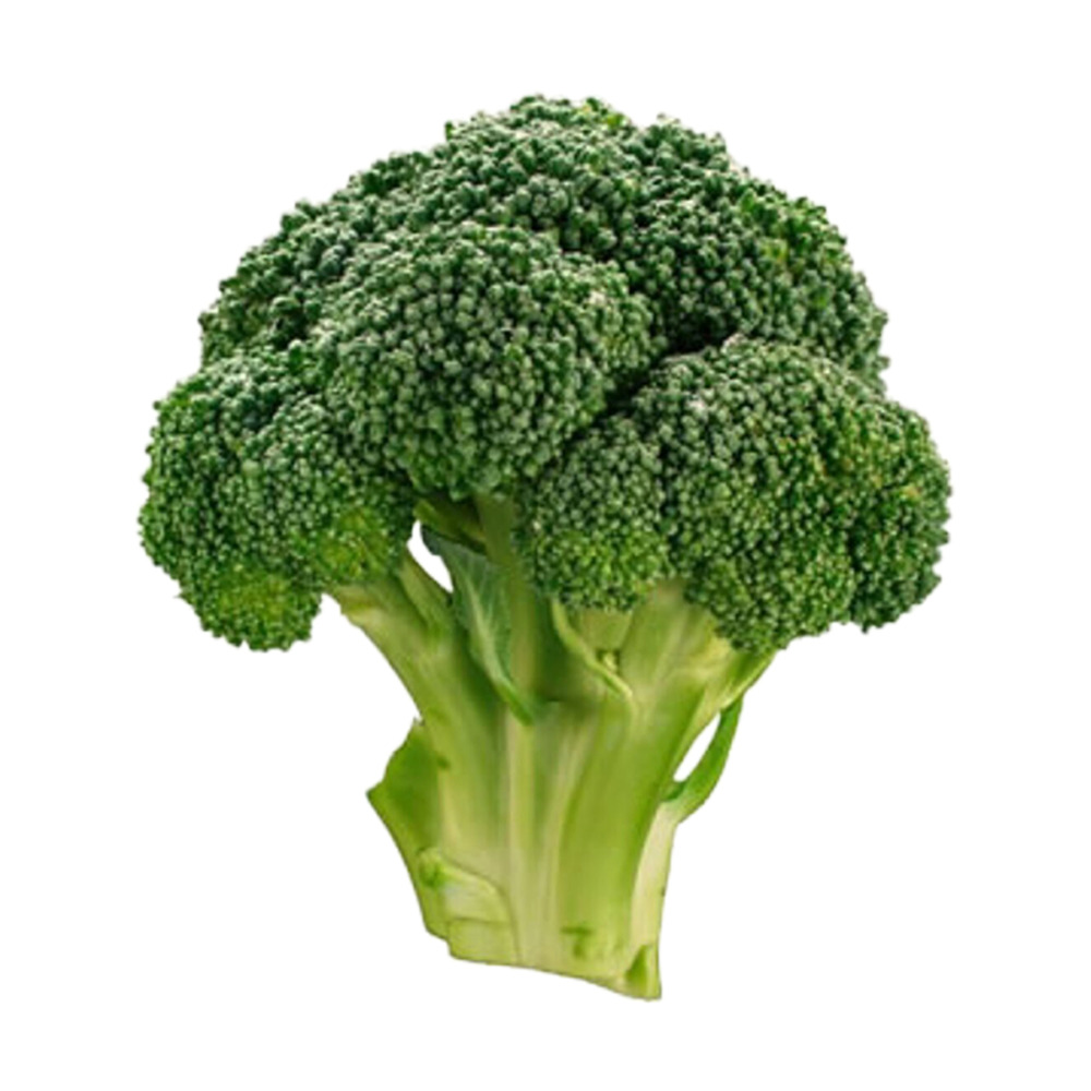 Brokoli Kg.
