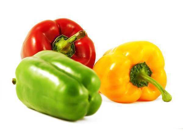 Biber Californiya Kg.