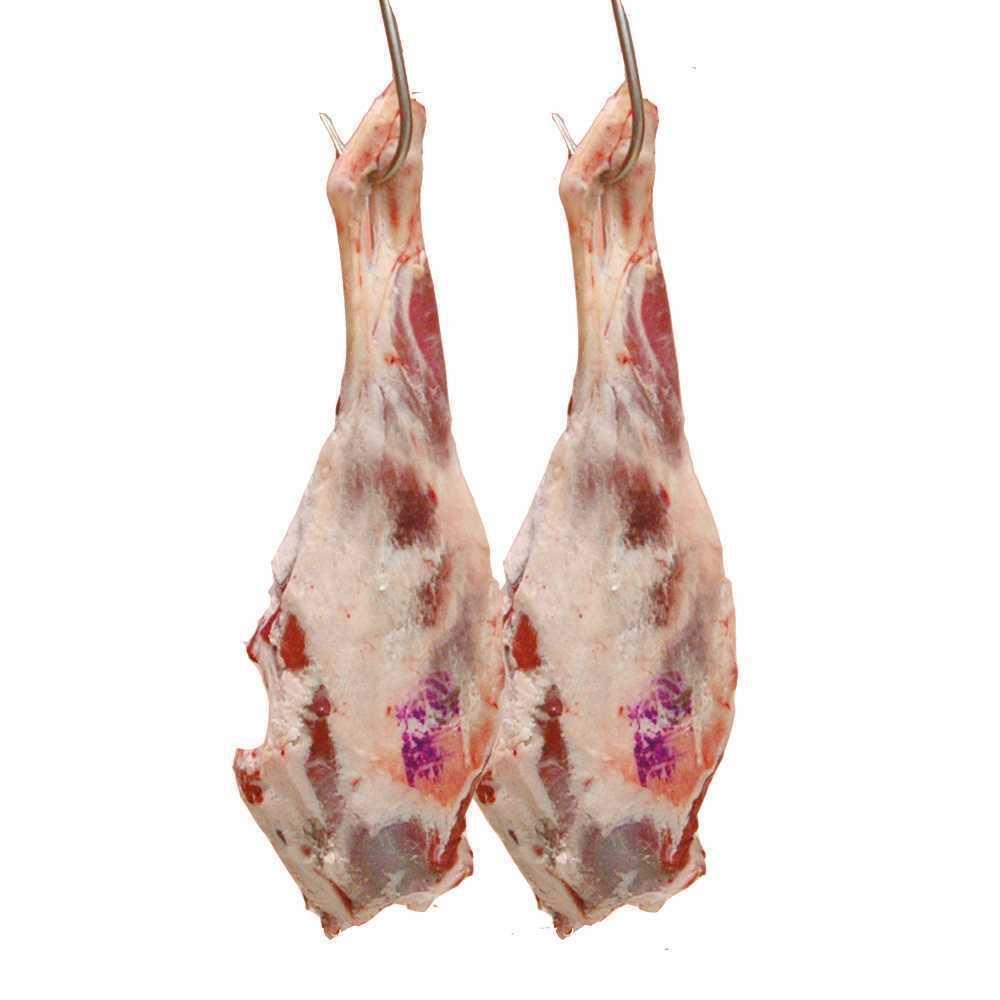 Kuzu But Kg