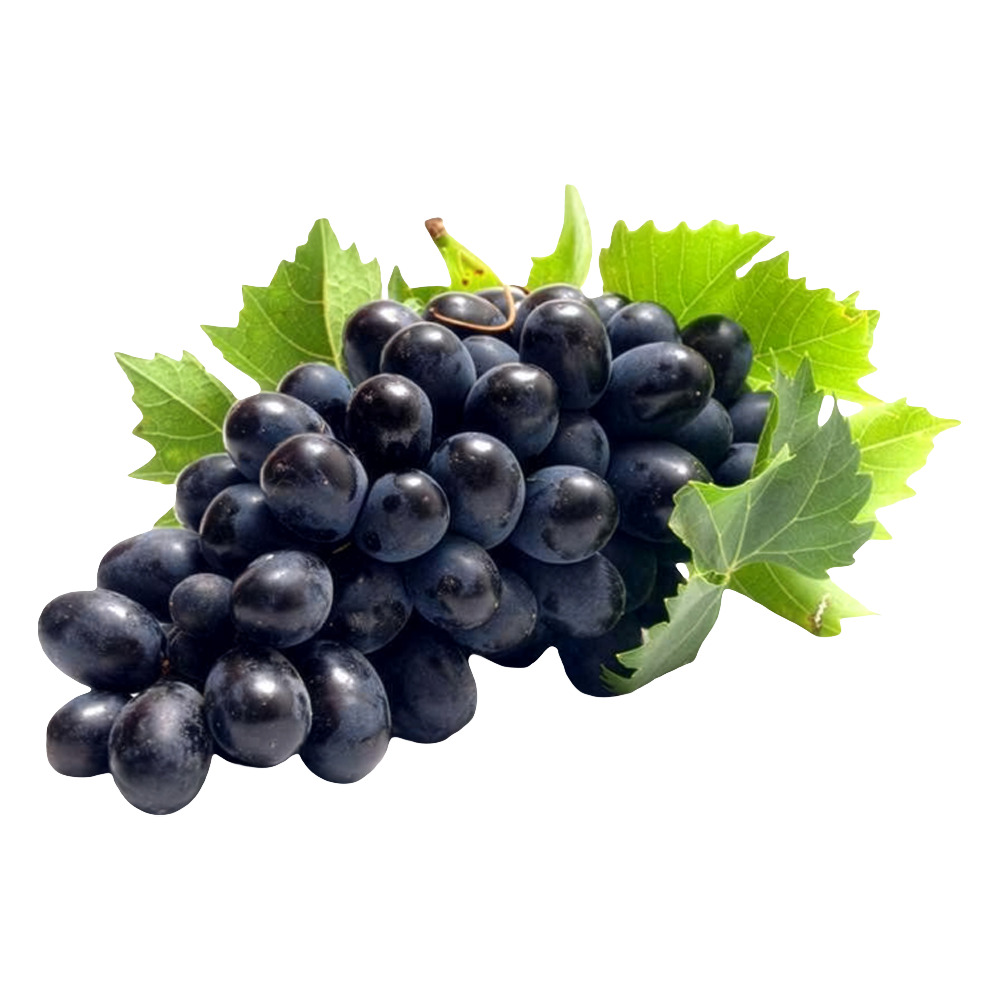 Üzüm Siyah Kg.