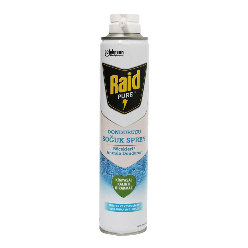 Raid Pure Dondurucu Böcek Sprey 300Ml