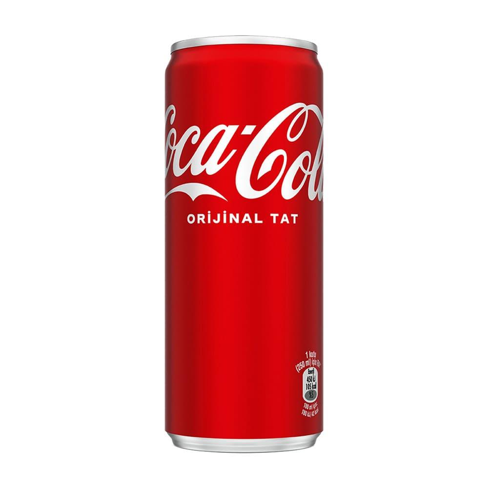 Coca Cola 250 Ml Kutu